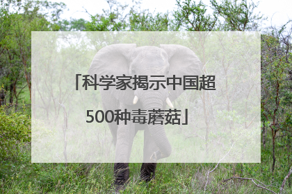科学家揭示中国超500种毒蘑菇