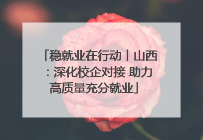 稳就业在行动丨山西：深化校企对接 助力高质量充分就业
