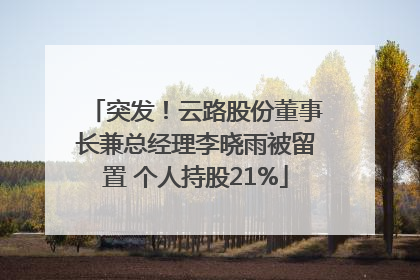 突发！云路股份董事长兼总经理李晓雨被留置 个人持股21%