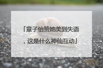 章子怡赞她美到失语，这是什么神仙互动