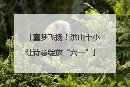 童梦飞扬！洪山十小让诗意绽放“六一”