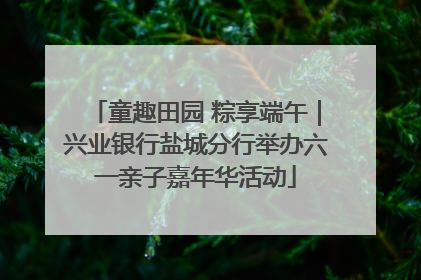 童趣田园 粽享端午｜兴业银行盐城分行举办六一亲子嘉年华活动