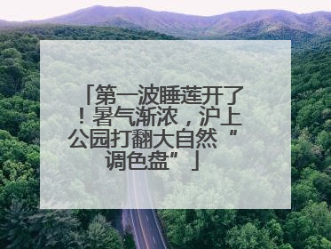 第一波睡莲开了！暑气渐浓，沪上公园打翻大自然“调色盘”