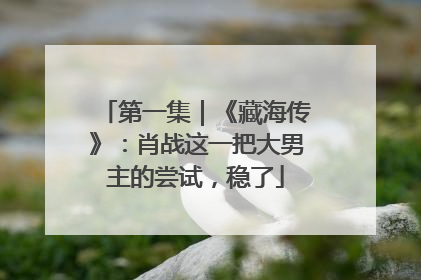 第一集｜《藏海传》：肖战这一把大男主的尝试，稳了