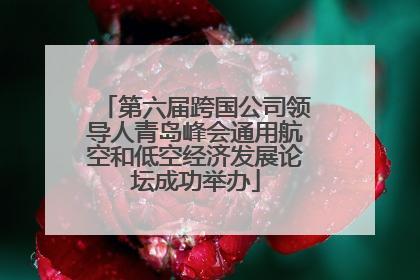 第六届跨国公司领导人青岛峰会通用航空和低空经济发展论坛成功举办