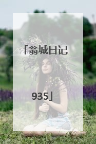 翁城日记 935