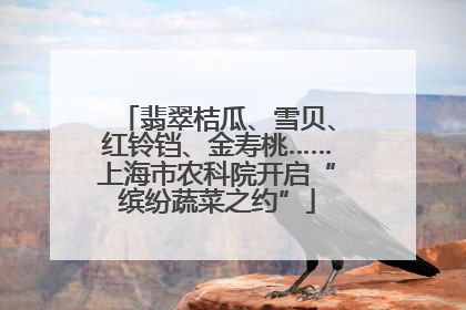 翡翠桔瓜、雪贝、红铃铛、金寿桃……上海市农科院开启“缤纷蔬菜之约”