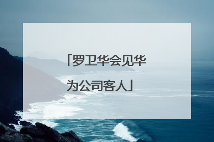 罗卫华会见华为公司客人
