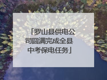 罗山县供电公司圆满完成全县中考保电任务