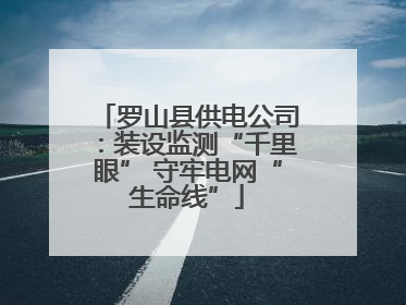 罗山县供电公司：装设监测“千里眼” 守牢电网“生命线”