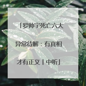 罗帅宇死亡六大异常待解：有真相才有正义丨中听