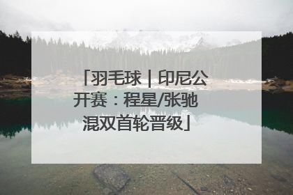 羽毛球｜印尼公开赛：程星/张驰混双首轮晋级