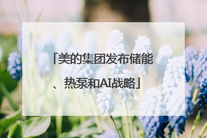 美的集团发布储能、热泵和AI战略