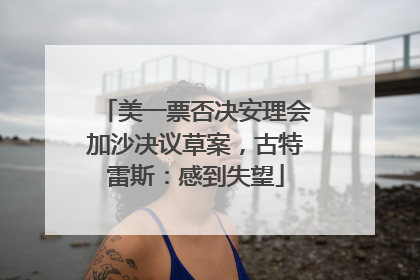 美一票否决安理会加沙决议草案，古特雷斯：感到失望