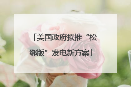 美国政府拟推“松绑版”发电新方案