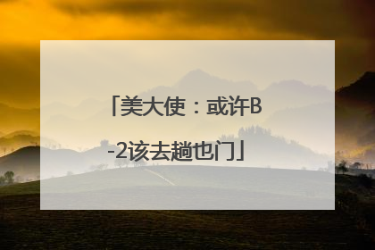 美大使：或许B-2该去趟也门