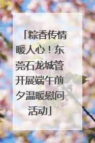 粽香传情暖人心！东莞石龙城管开展端午前夕温暖慰问活动