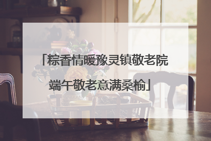 粽香情暖豫灵镇敬老院 端午敬老意满桑榆