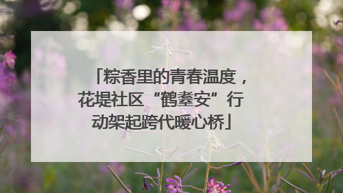 粽香里的青春温度，花堤社区“鹤耋安”行动架起跨代暖心桥