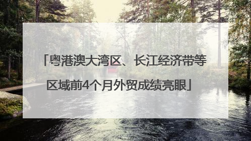粤港澳大湾区、长江经济带等区域前4个月外贸成绩亮眼