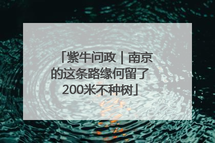 紫牛问政｜南京的这条路缘何留了200米不种树