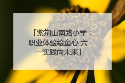 紫荆山南路小学：职业体验绘童心 六一实践向未来
