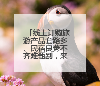 线上订购旅游产品套路多、民宿良莠不齐难甄别，来看省文旅厅如何回应？