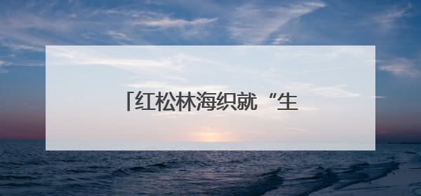 红松林海织就“生态+”富民画卷