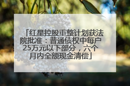 红星控股重整计划获法院批准：普通债权中每户25万元以下部分，六个月内全额现金清偿