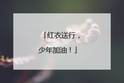 红衣送行，少年加油！