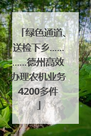 绿色通道、送检下乡…………德州高效办理农机业务4200多件
