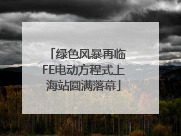 绿色风暴再临 FE电动方程式上海站圆满落幕