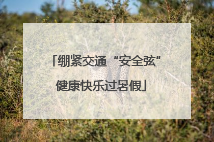绷紧交通“安全弦” 健康快乐过暑假