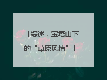 综述：宝塔山下的“草原风情”