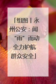 组图丨永州公安：闻“雨”而动 全力护航群众安全