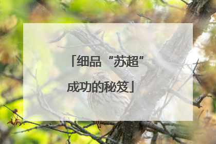 细品“苏超”成功的秘笈