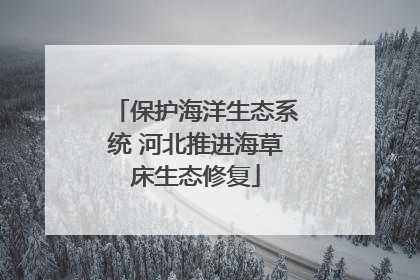 保护海洋生态系统 河北推进海草床生态修复