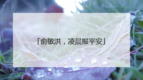 俞敏洪，凌晨报平安