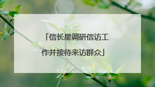 信长星调研信访工作并接待来访群众