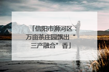 信阳市浉河区：万亩茶庄园飘出“三产融合”香