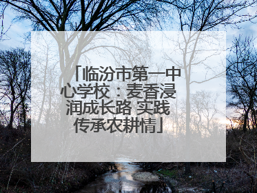 临汾市第一中心学校：麦香浸润成长路 实践传承农耕情