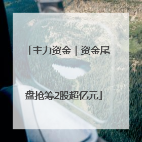 主力资金｜资金尾盘抢筹2股超亿元