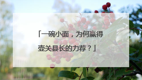 一碗小面，为何赢得壶关县长的力荐？