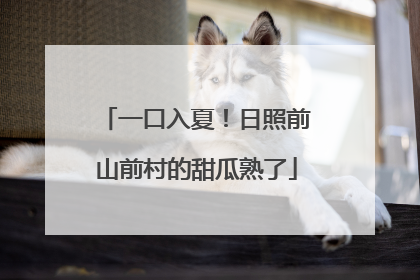 一口入夏！日照前山前村的甜瓜熟了