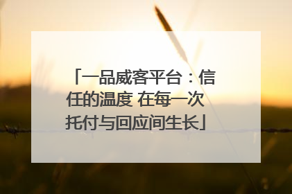 一品威客平台：信任的温度 在每一次托付与回应间生长