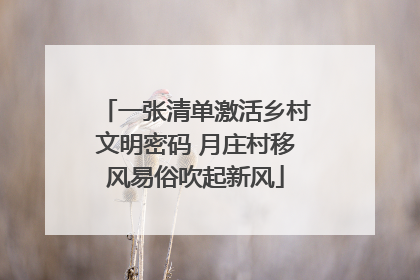 一张清单激活乡村文明密码 月庄村移风易俗吹起新风