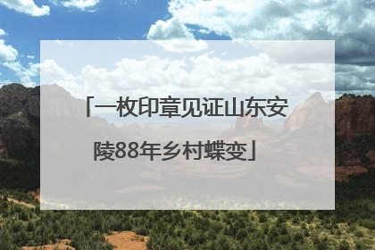 一枚印章见证山东安陵88年乡村蝶变