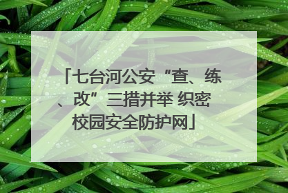 七台河公安“查、练、改”三措并举 织密校园安全防护网