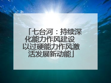 七台河：持续深化能力作风建设 以过硬能力作风激活发展新动能