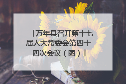 万年县召开第十七届人大常委会第四十四次会议（图）